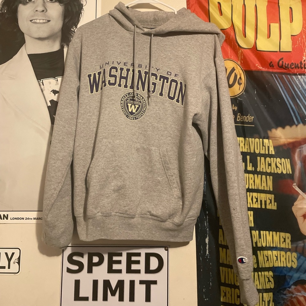 grey university of washington hoodie
